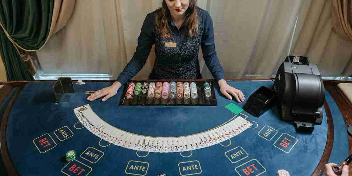 Unraveling the Truth: Gambling Site Scam Verification with the Inavegas Community