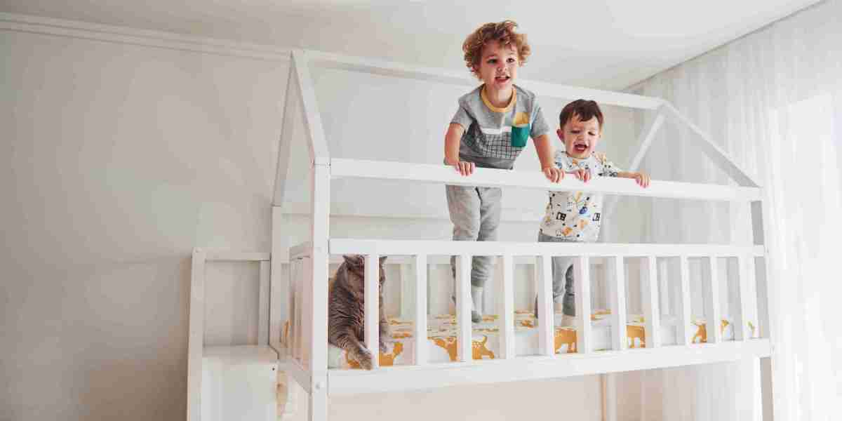 Guide To Double And Single Bunk Bed: The Intermediate Guide The Steps To Double And Single Bunk Bed