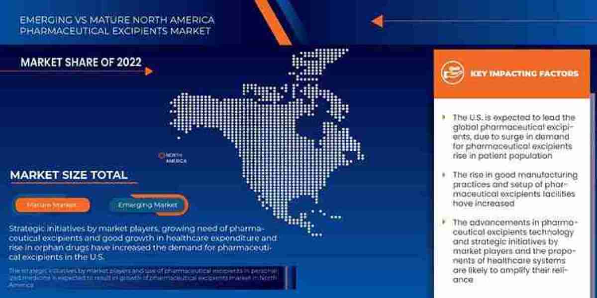 North America Pharmaceutical Excipients Market Size, Share, Demand, Key Drivers, Development Trends and Competitive Outl