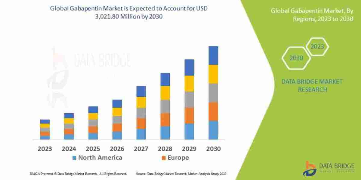 Gabapentin Market Trends, Usage & Growth Forecast