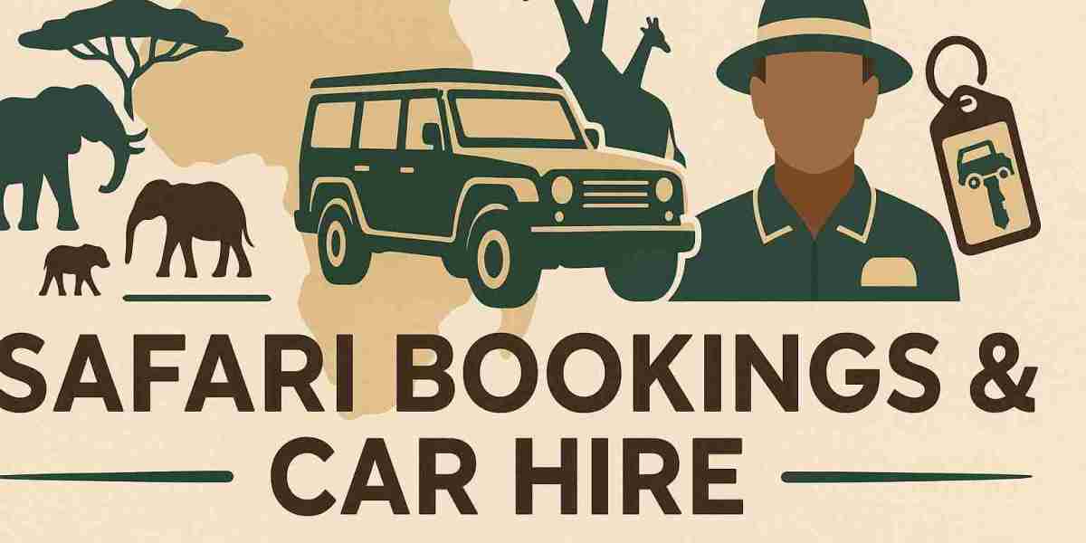 Transforming Safari Logistics: Connecting Car Owners and Tour Companies in Africa