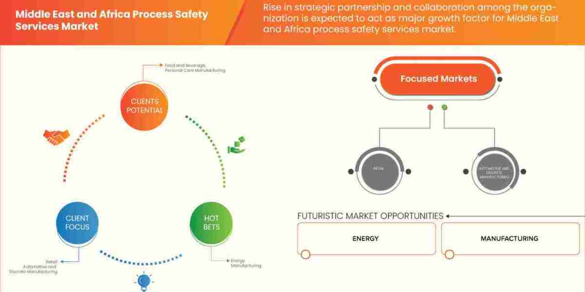 Middle East and Africa Process Safety Services Market Revenue Forecast: Growth, Share, Value, and Trends