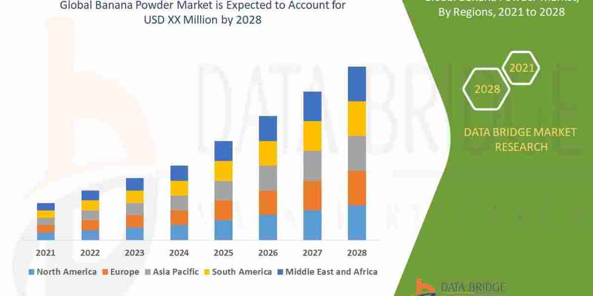 Banana Powder Market Insights and Growth Trends