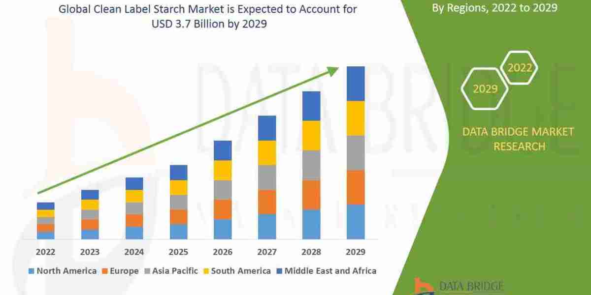 Clean Label Starch Market Demand: Growth, Share, Value, Size, and Insights