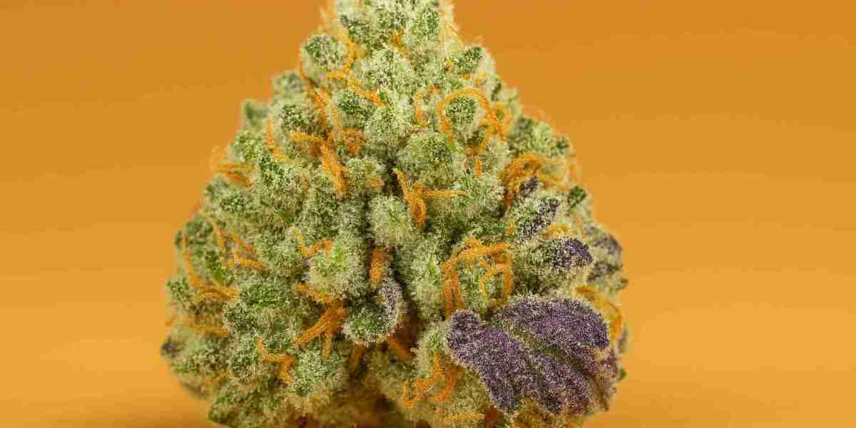 Why balanced cannabis strains are ideal for everyday use