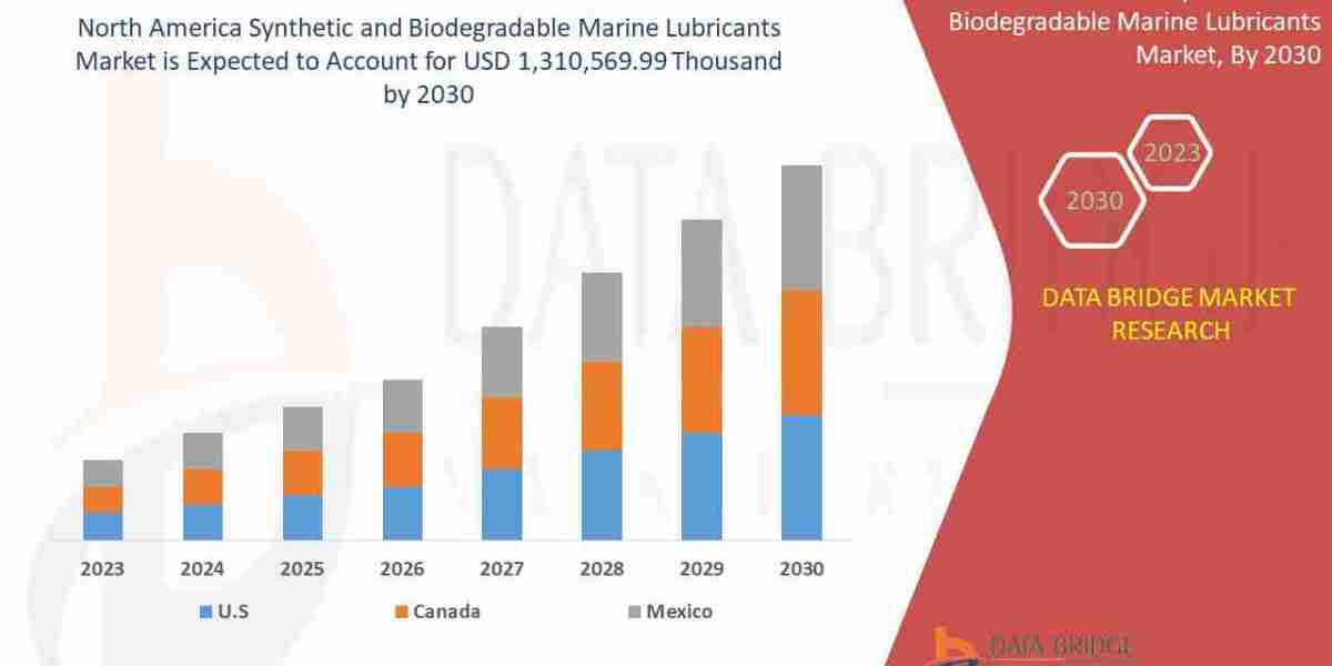North America Synthetic and Biodegradable Marine Lubricants Market Dynamics: Trends, Demand Shifts & Future Outlook