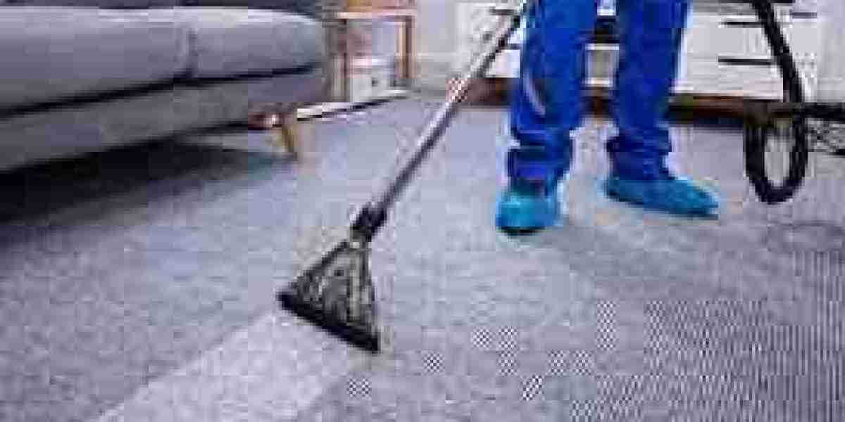﻿How Carpet Cleaning Helps Create an Allergy-Free Home