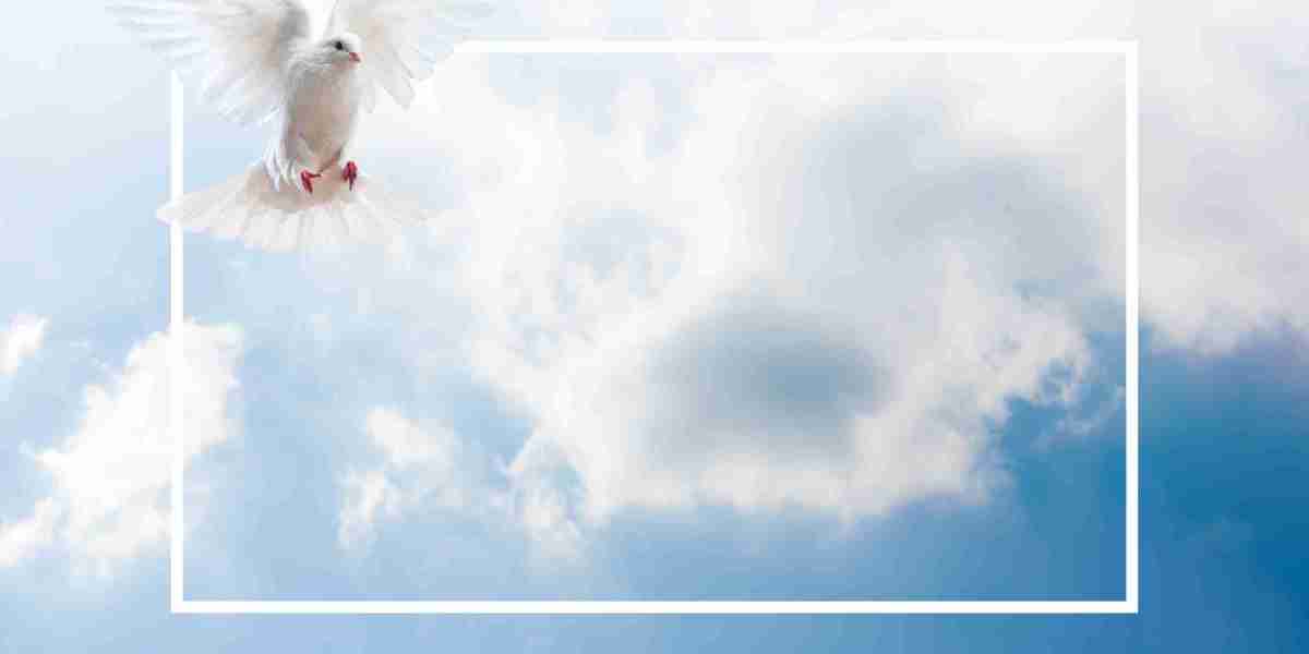 Overview of Private Jet Companies: Services, Market Tendencies, And Leading Players