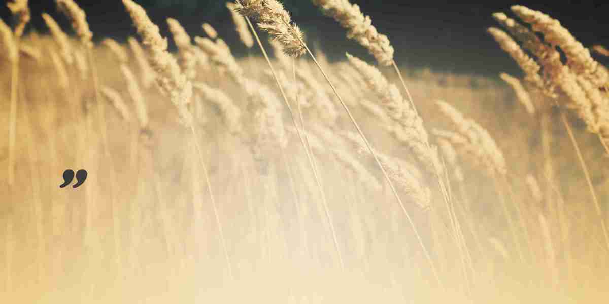 Recent Advances in Modafinil Research: Enhancements in Cognitive Operate And Sleep Regulation