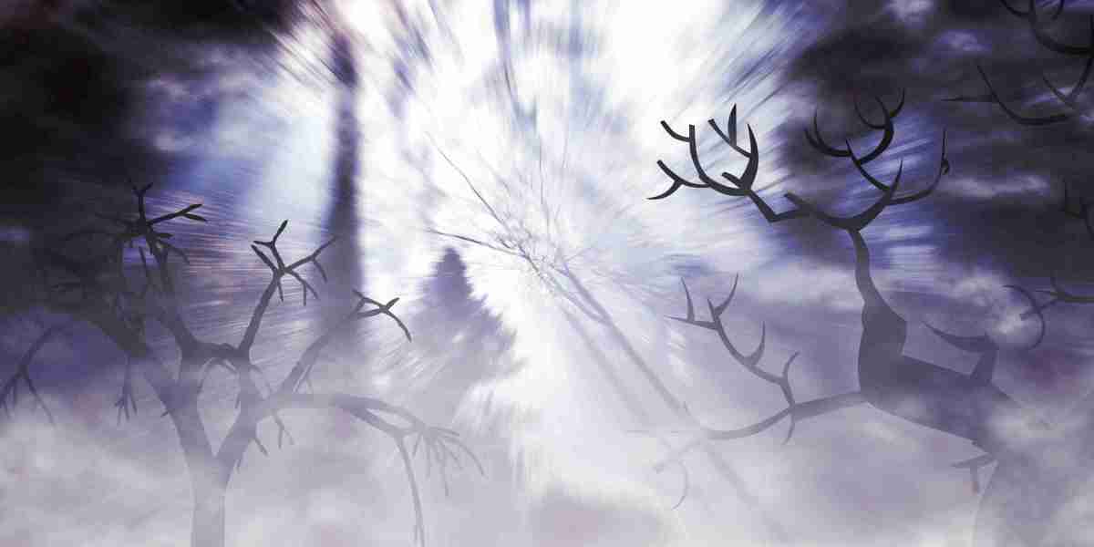 Exploring the Use and Availability of Provigil (Modafinil) in the United States