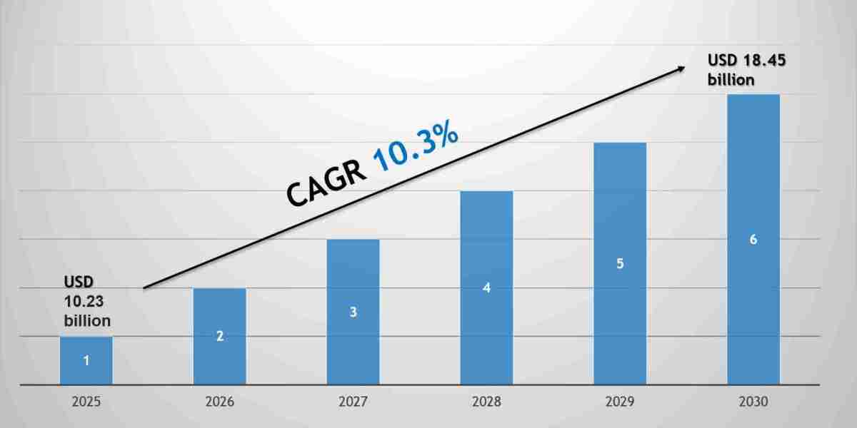 Algae Biofuel Market Forecast 2030: Key Players & Emerging Trends