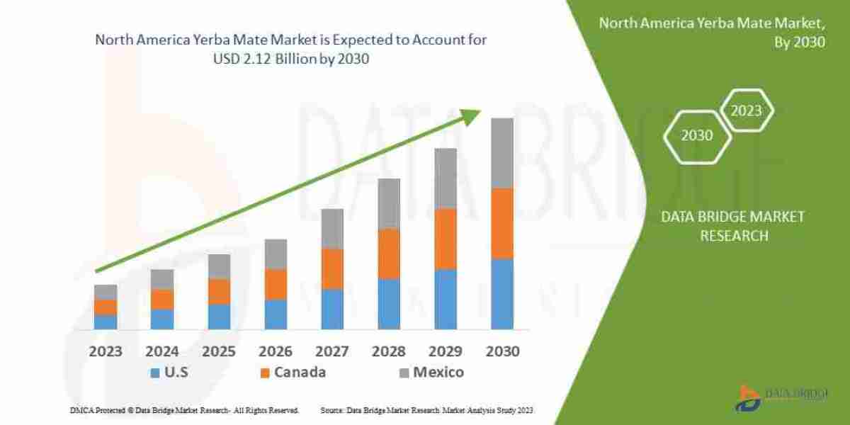 Wellness Culture Drives the North America Yerba Mate Market