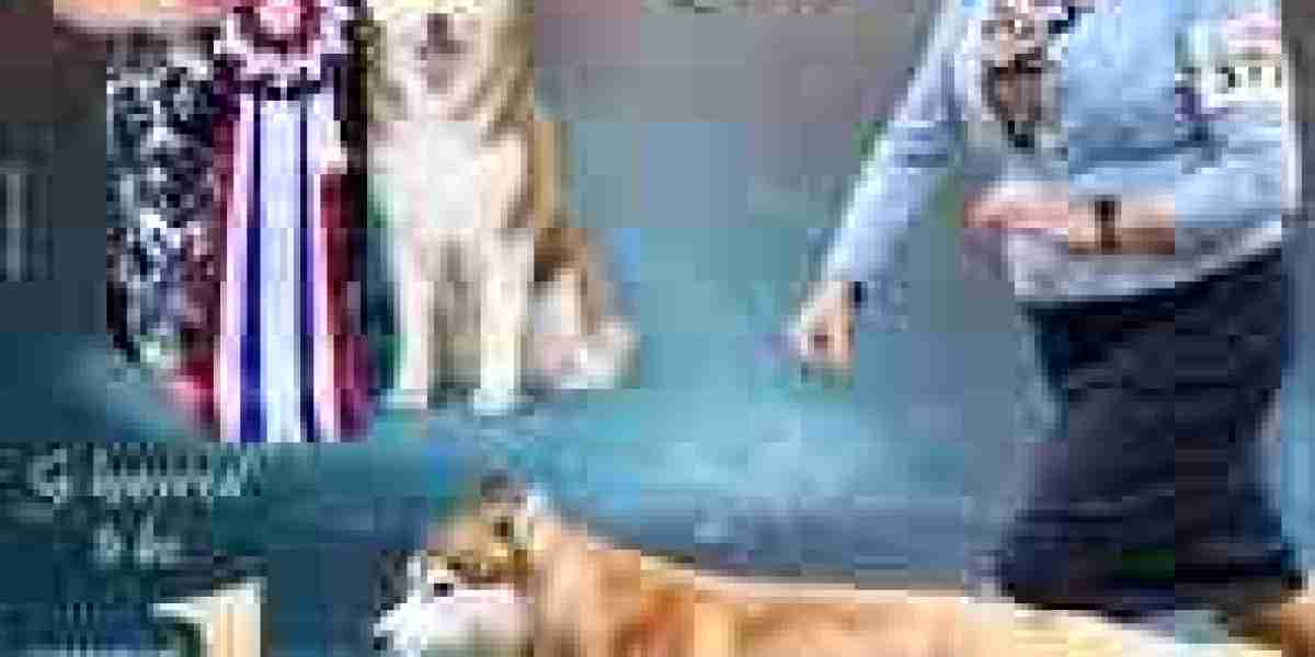 Choosing Ethical Dog Breeders for a Healthy, Happy, and Well-Raised Puppy