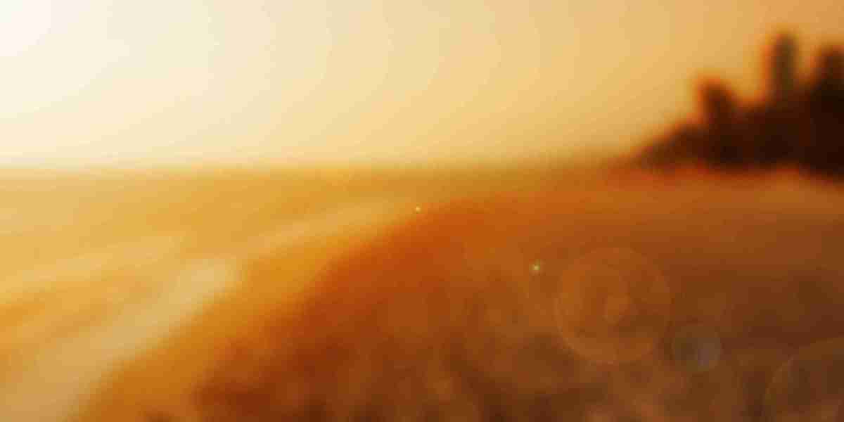 The Rise of Modafinil Shops: A Brand new Period In Cognitive Enhancement