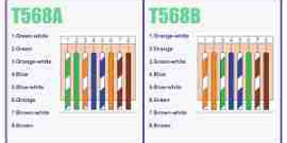 Cat6 Wiring: A Complete Guide to Modern Network Cabling