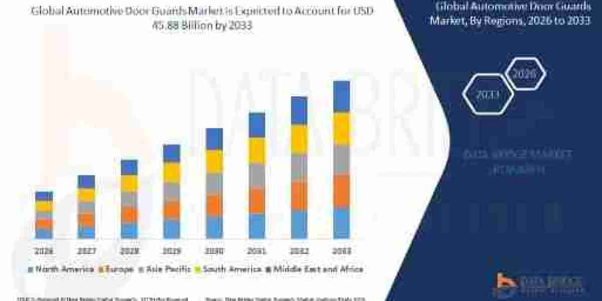 Automotive Door Guards Market Essential Protection or Added Convenience?