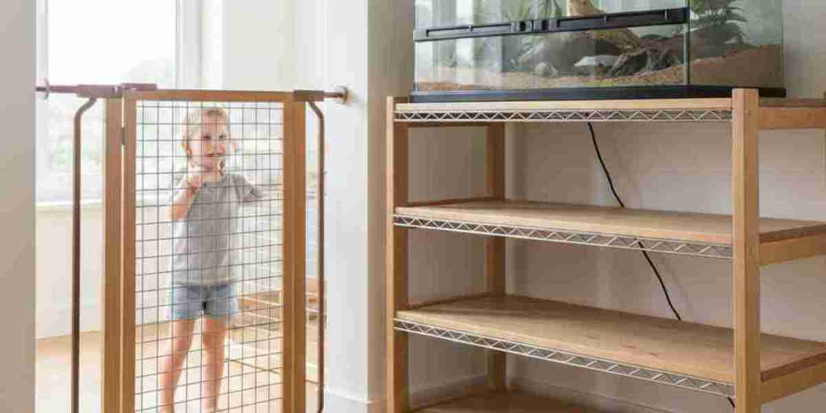 Creating a Natural Habitat with a Large Reptile Enclosure