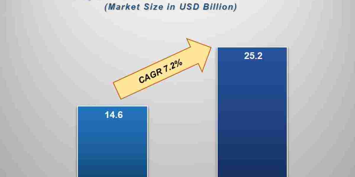 Patient Handling Equipment Market Growth Insights, Competitive Landscape & Future Outlook 2033