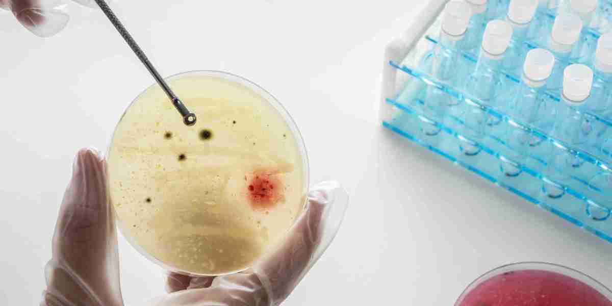 In Vitro Diagnostics Market Trends Transforming Global Healthcare