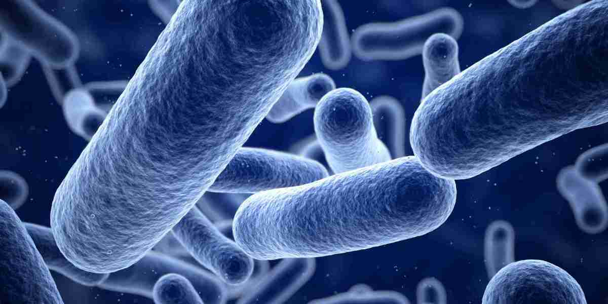 What Are the Symptoms of Bacterial Infections?