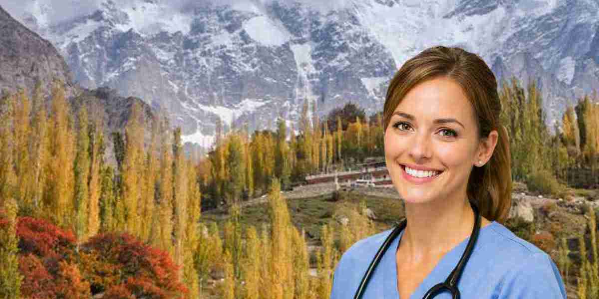 Complete Guide to NURS FPX 4025 Assessment for Nursing Excellence