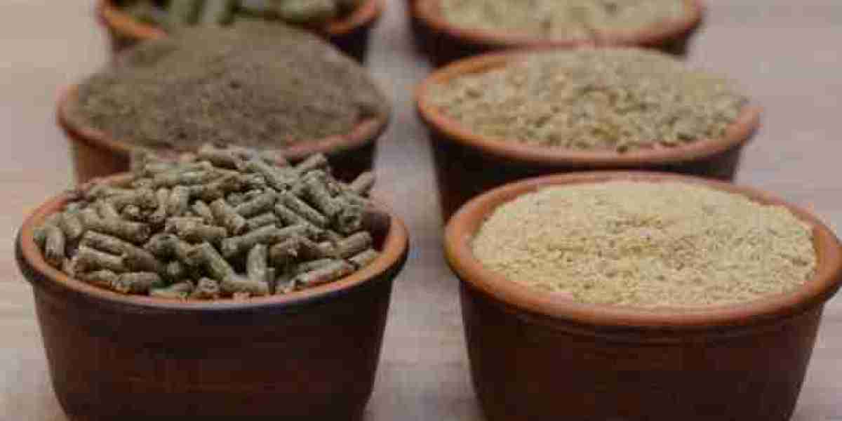 Comprehensive Feed Additives Market Forecast, Size, and Competitive Landscape