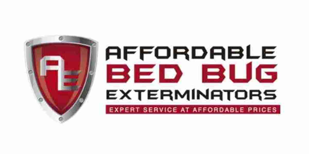 Using Chemical Spray Treatments for Bed Bugs
