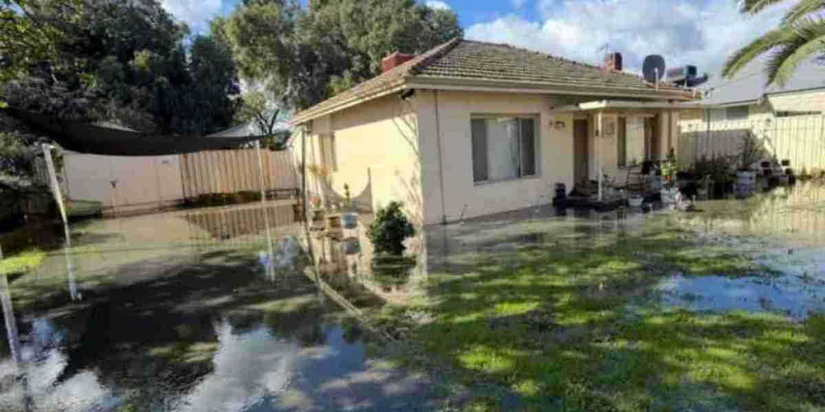Effective Water Damage Restoration Tips to Protect Your Home