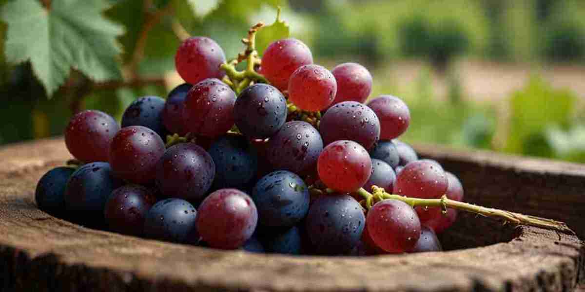 Grapes Prices, Index, Supply Factors & Uses | Global Report 2025
