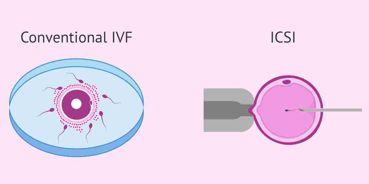 In Vitro Fertilization (IVF) Market Outlook and Forecast Report [2025–2034] | Industry Overview, Market Segmentation, In