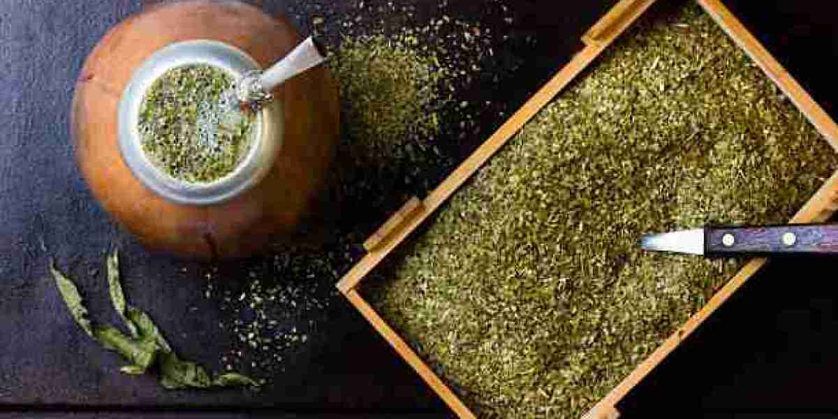 Yerba Mate Market Forecast 2026-2035 Industry Research Report