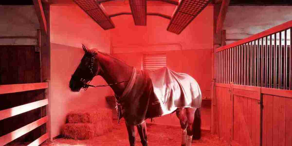 Boost Your Horse’s Wellness with a Red Light Therapy Blanket  Caring for a horse goes beyond feeding, grooming, and exer