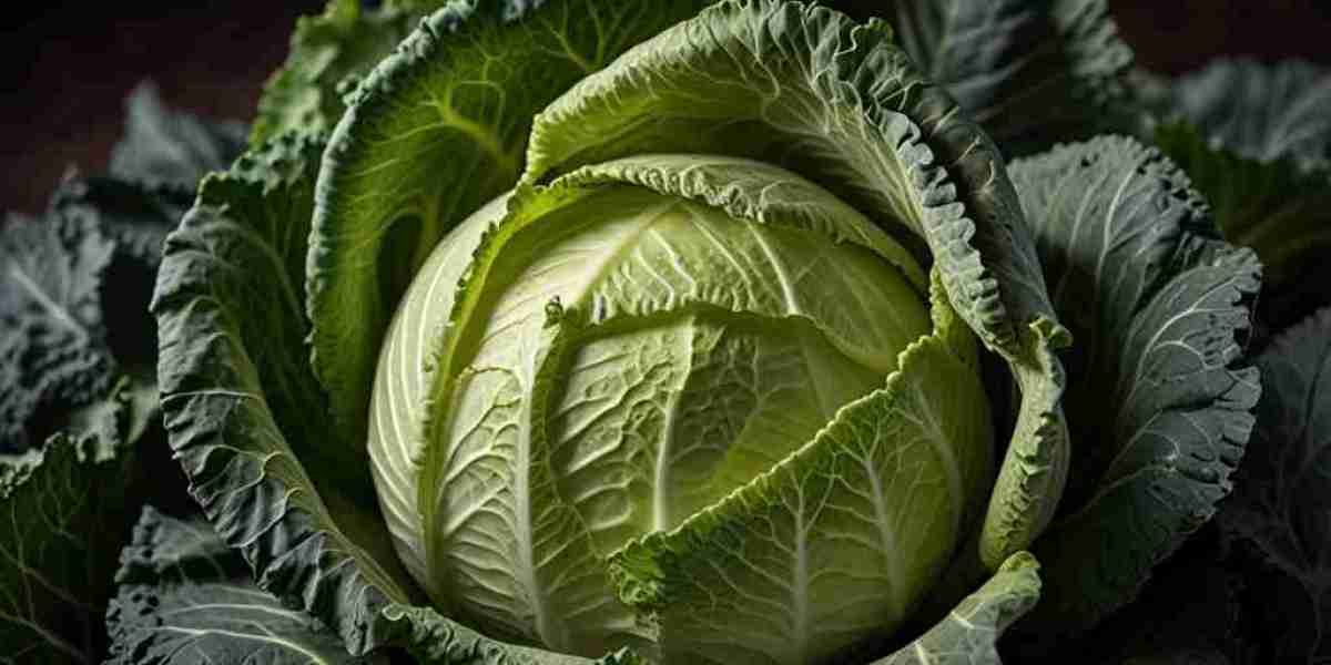 Cabbage Prices 2025 |Trend, Index , Demand & Forecast