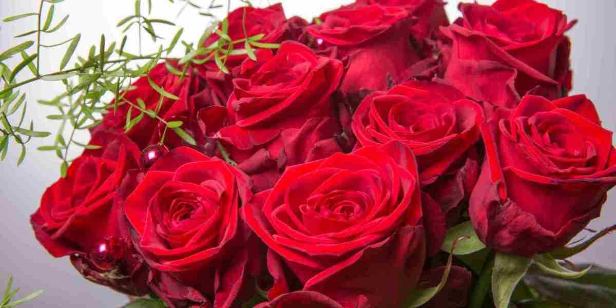 Escort Service in Islamabad – Premium Companionship for Modern Lifestyle