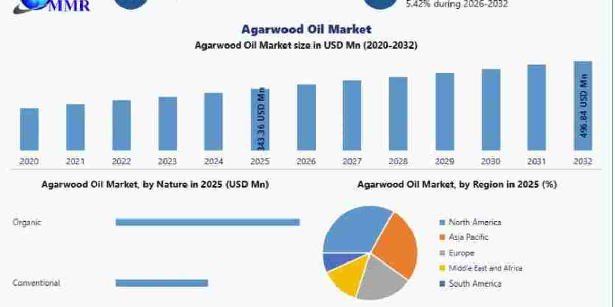 Industry Overview, Demand Analysis, and Future Outlook