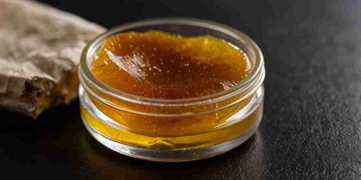 Gum Rosin Price Analysis: Global and Regional Demand, News, Price Chart and Forecast