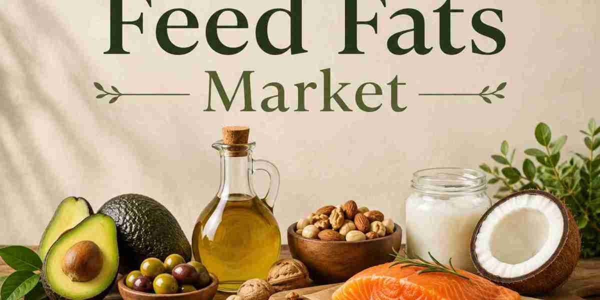 US Feed Fats Market Outlook 2034: Sizing Domestic Demand, Share, and Growth Drivers