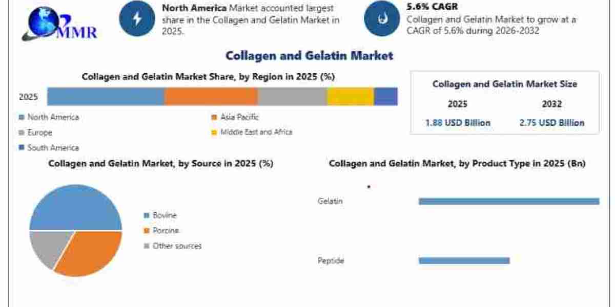 Global Collagen and Gelatin Market Size, Share, Trends & Forecast Report 2026–2032
