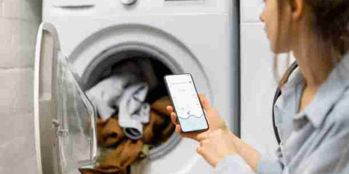 Global Mini Washing Machine Industry Analysis and Future Outlook