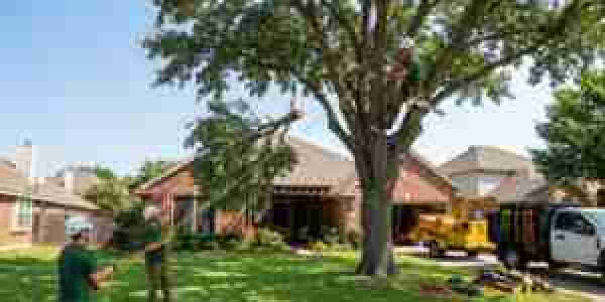 Dallas Tree Removal: Why Professional Tree Removal Services Matter