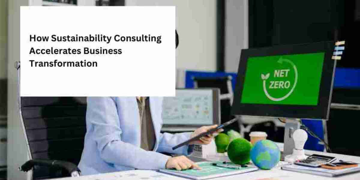 How Sustainability Consulting Accelerates Business Transformation in Malaysia
