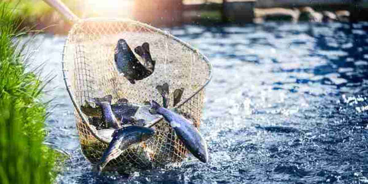 US Fishing Nets Market Outlook Fueled by Marine Innovation