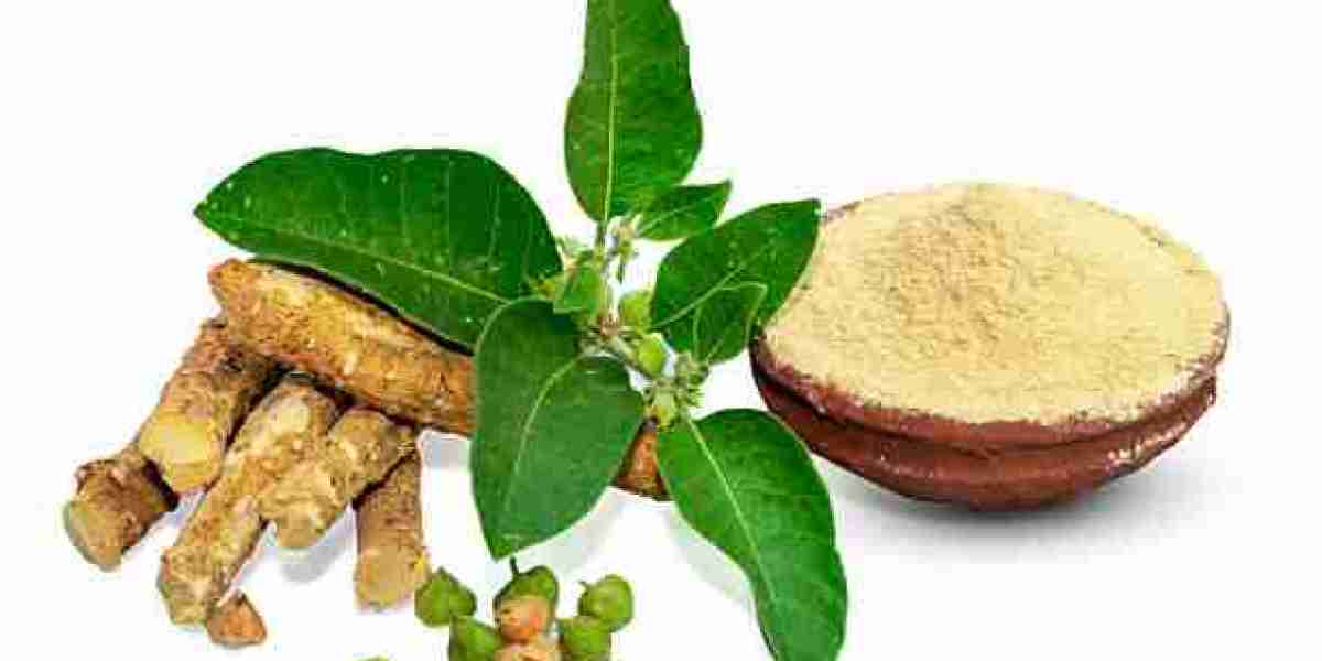 US Ashwagandha Extract Market Outlook Powered by Innovation