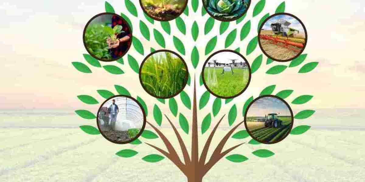 Specialty Fertilizers Market Forecast Expands with Advanced Farming Practices