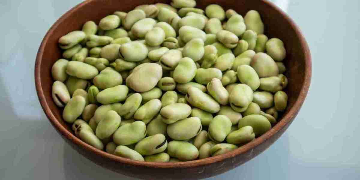 Asia-Pacific Fava Bean Market Surges with Health Awareness