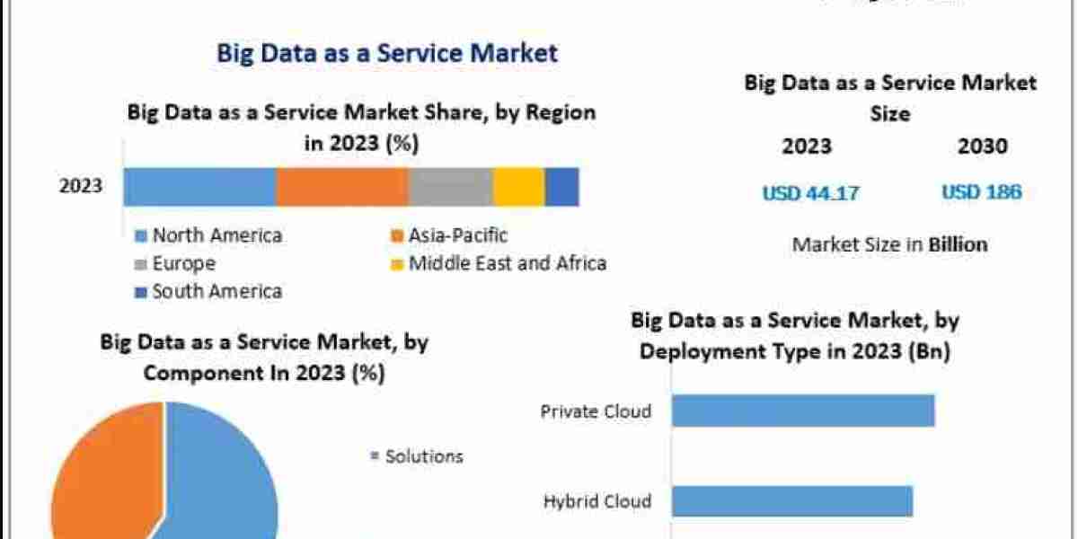 Big Data as a Service Market Digital Transformation Trends Across Global Enterprises by 2030