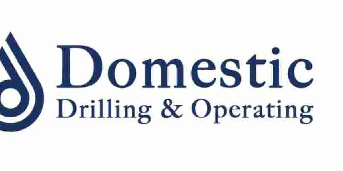 Exploring Direct Opportunities in Domestic Energy Development