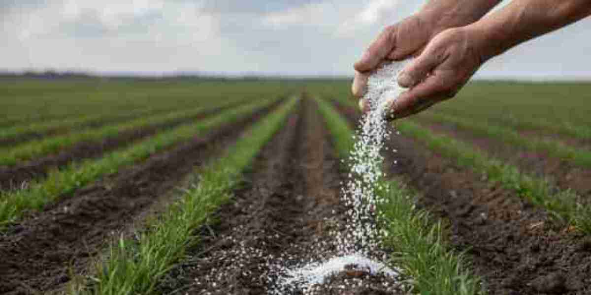 Cereal Crop Fertilization Driving Nitrogenous Fertilizer Demand
