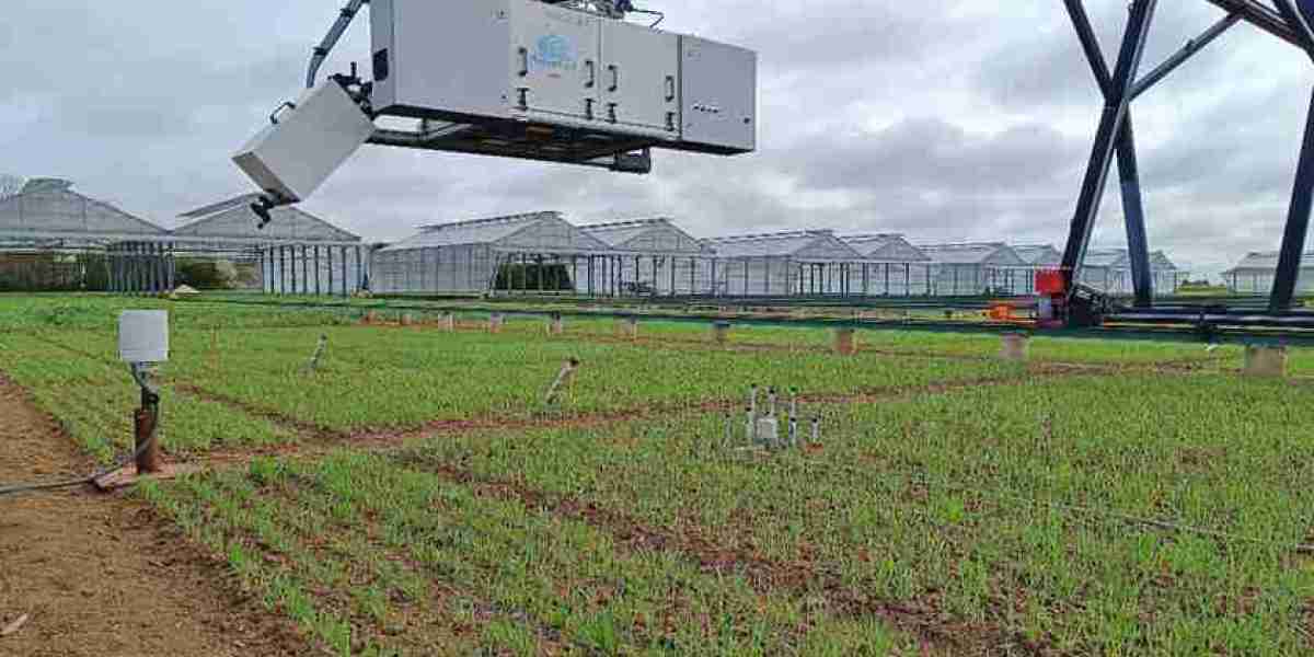 Crop Improvement Driving Plant Phenotyping Adoption