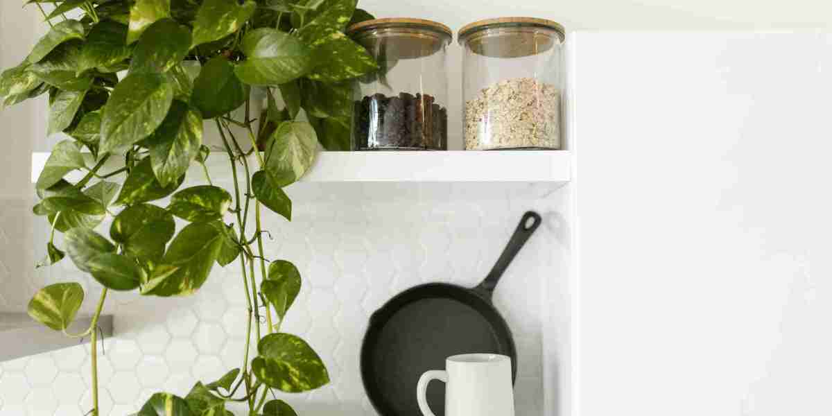 How to Grow Cilantro Successfully at Home